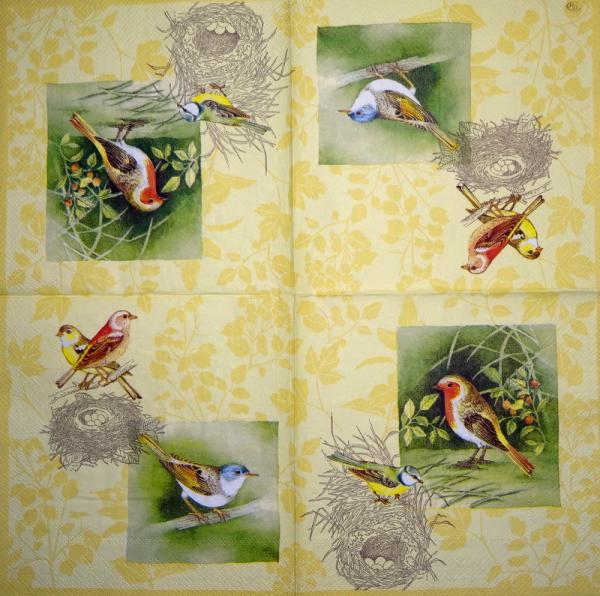 064 Vögel - 3-lagig (gelb) - Ihr